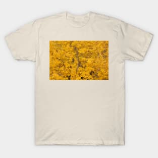 Aspen tree foliage in autumn colors T-Shirt